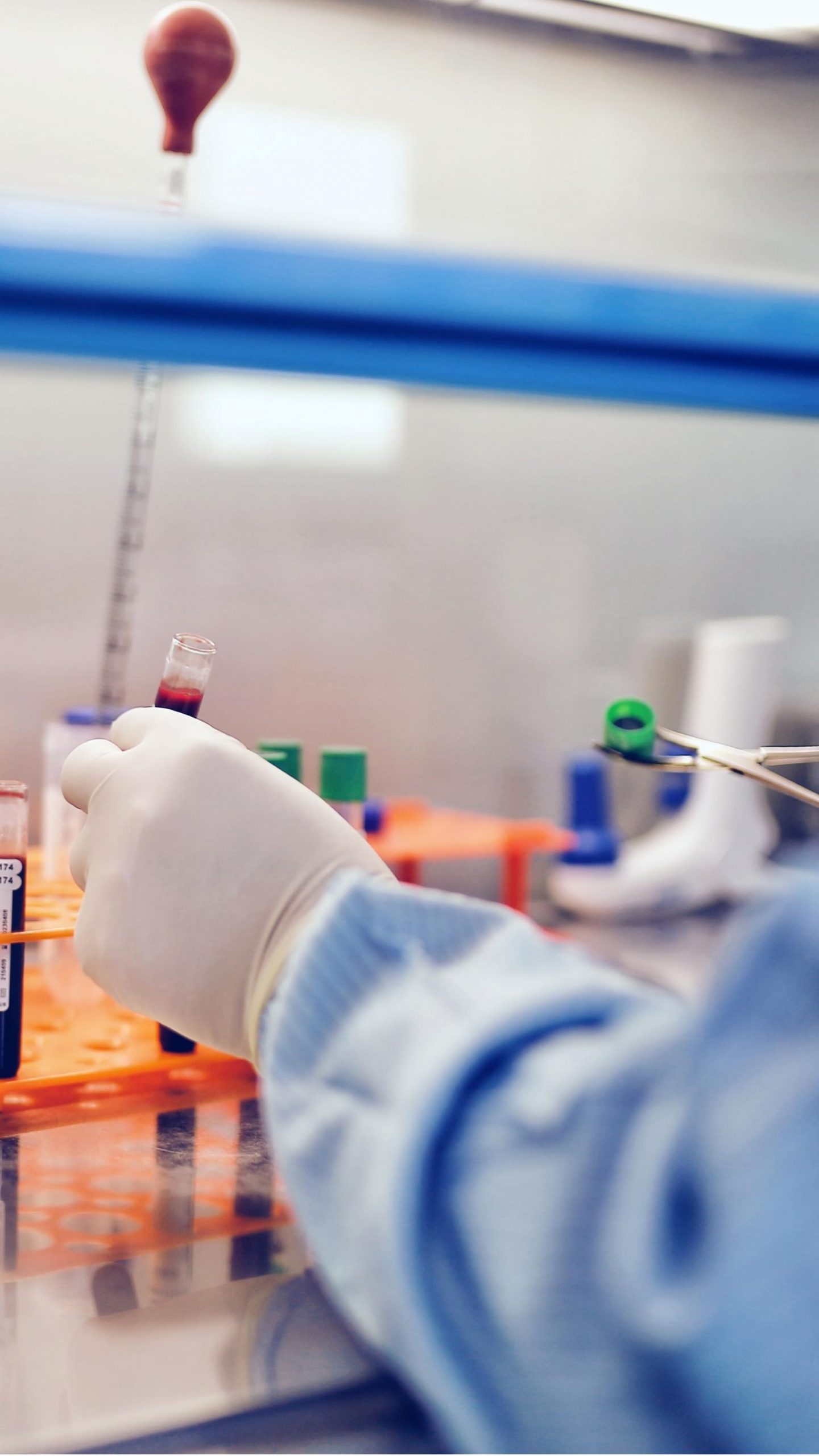 Bird DNA Test | Gender & Genetic Analysis | SENO Biotech