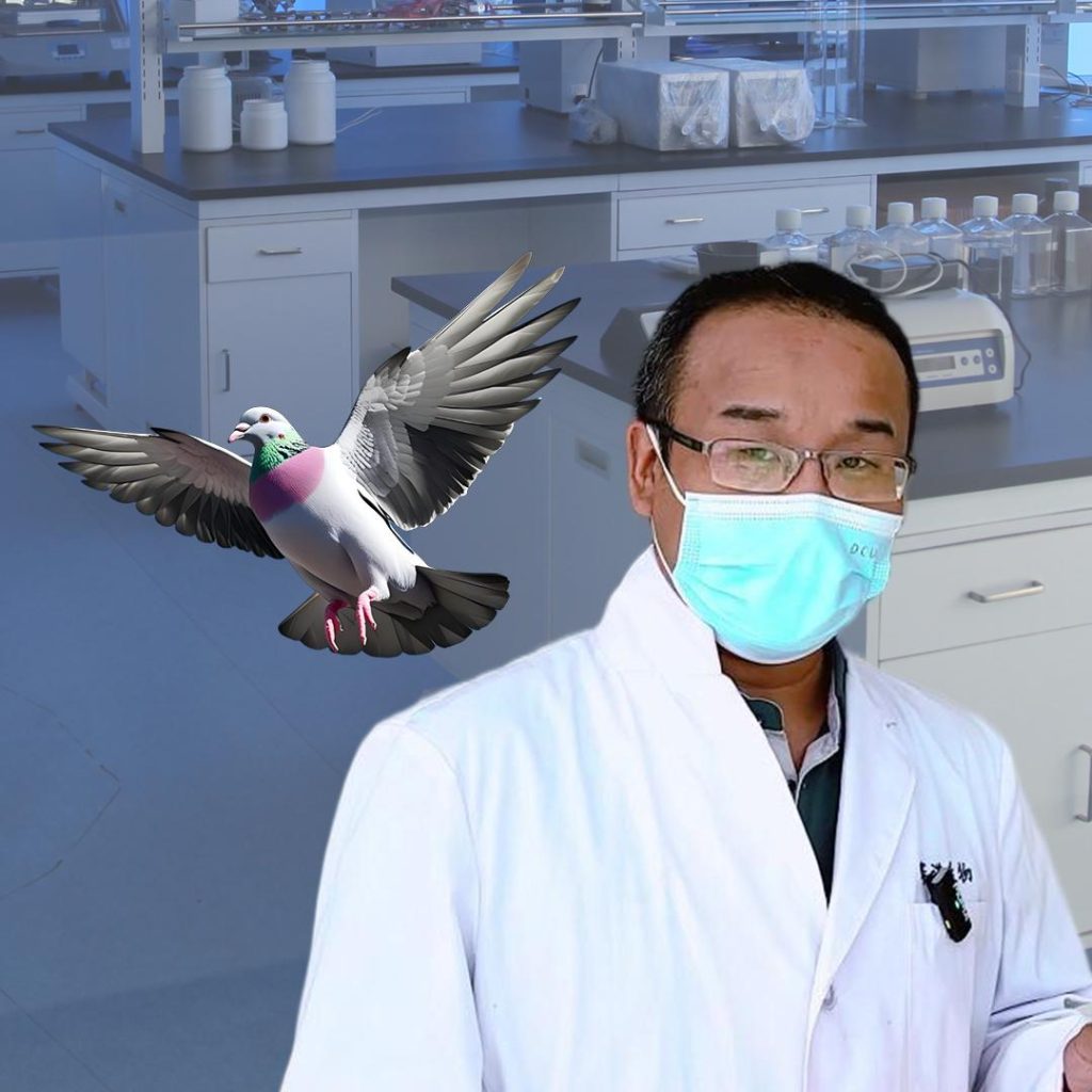 Test del DNA per il genere degli uccelli SENO