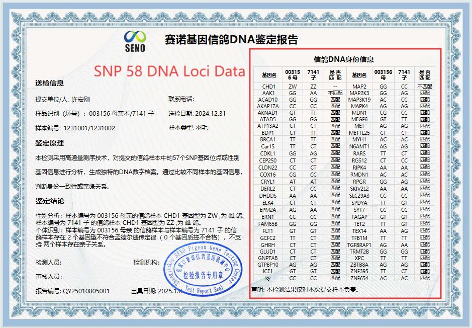 SENO Bird Gender DNA Test What Is a Bird DNA Certificate and Why It Matters