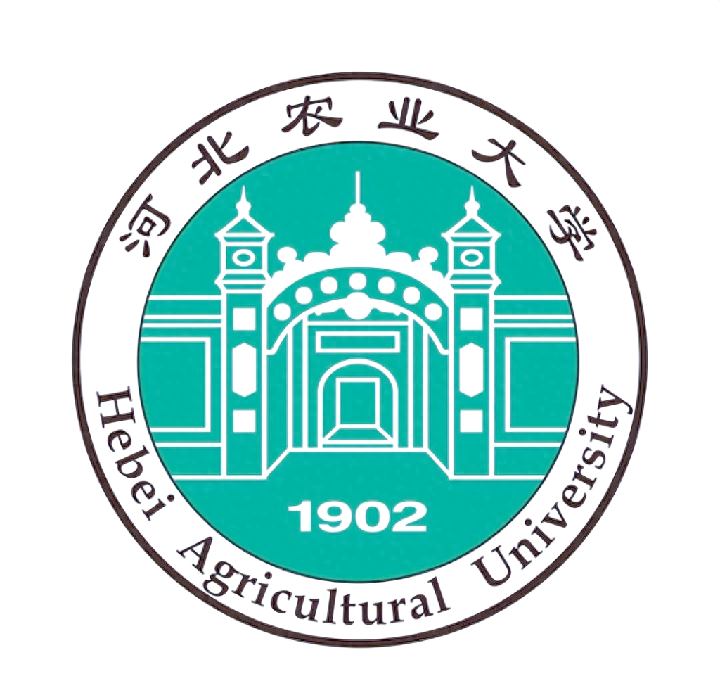 SENO Bird Gender DNA Test (Test ADN du sexe de l'oiseau) SENO Bird Gender DNA Test (Test ADN du sexe de l'oiseau)